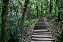 刘禹锡游访德山