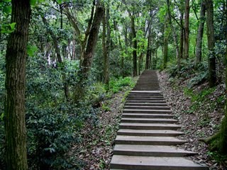 刘禹锡游访德山