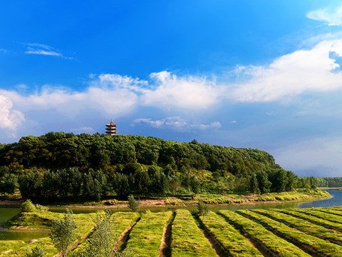 枉水河畔